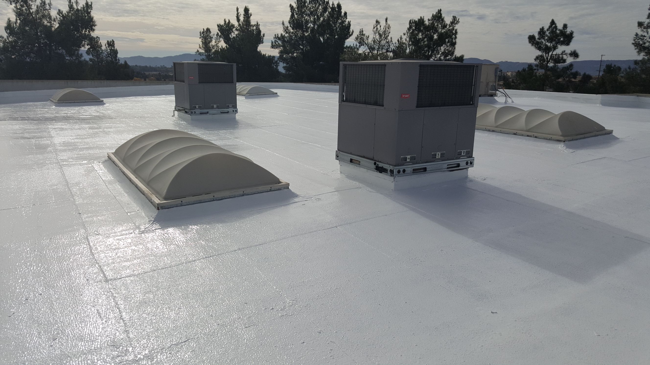 Level 1 Roofing Image