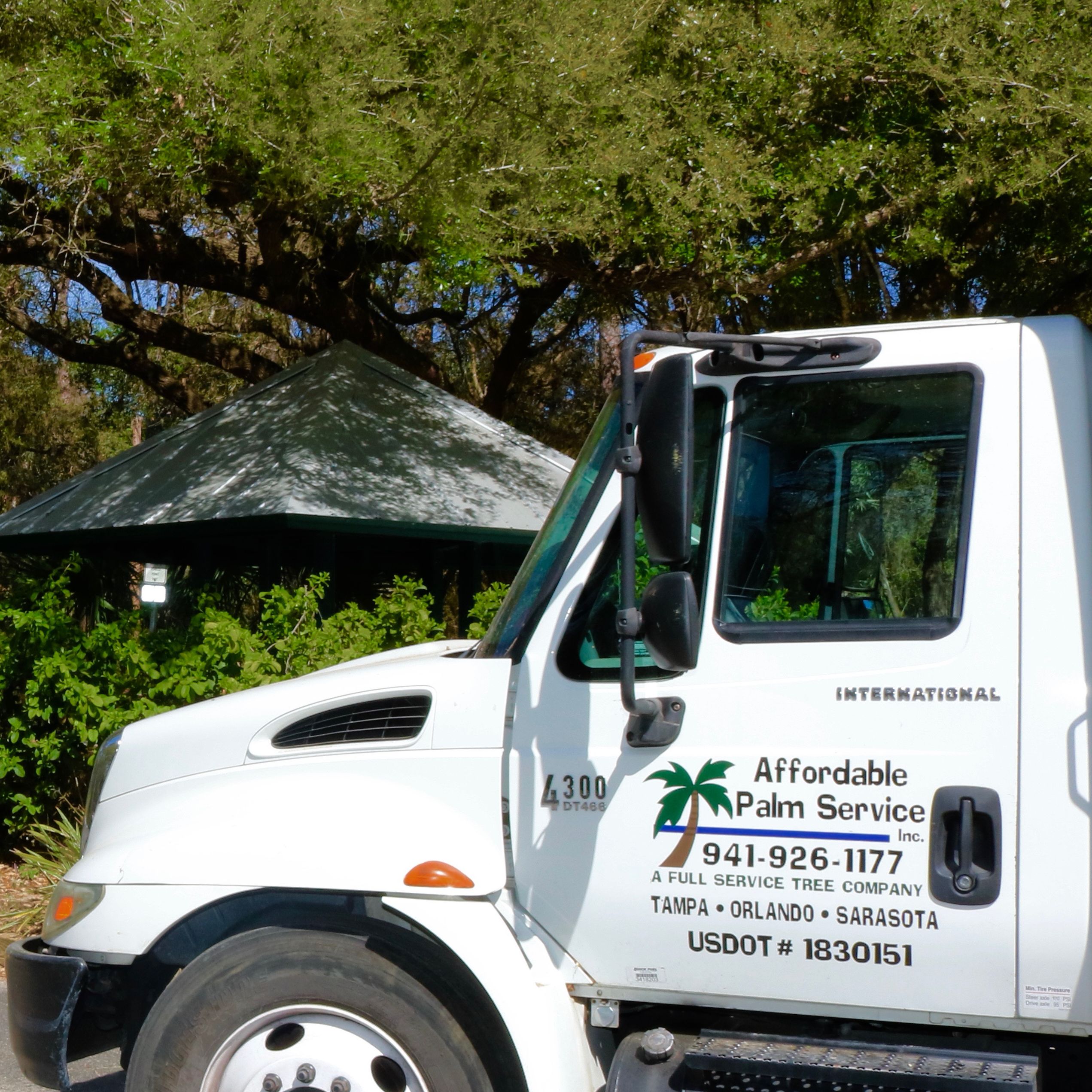 Affordable Palm Service, Inc Image