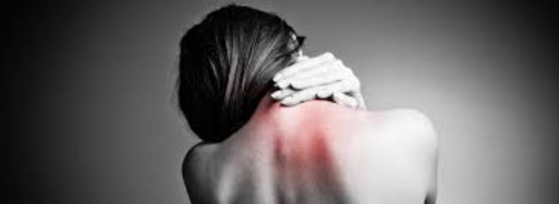 Julie Collins Chiropractic Image