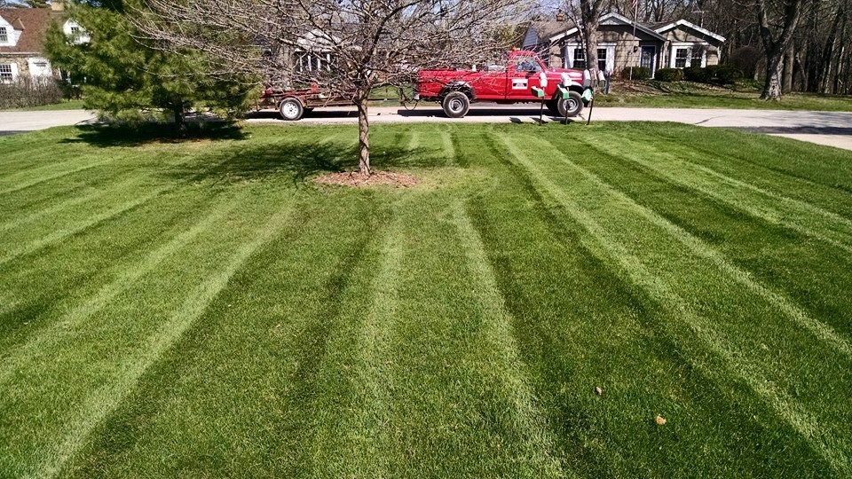 GreenPal Lawn Care Image