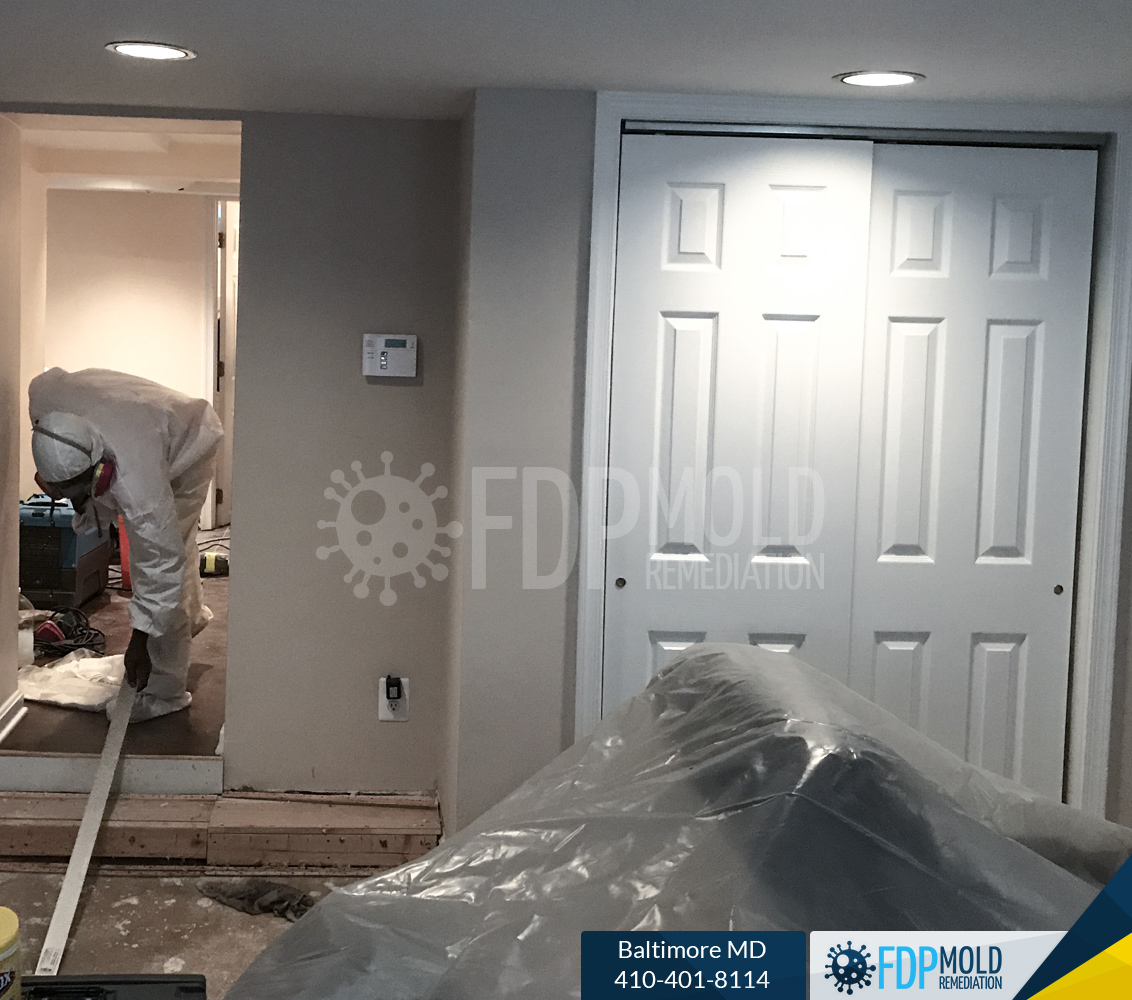 FDP Mold Remediation of Baltimore Image