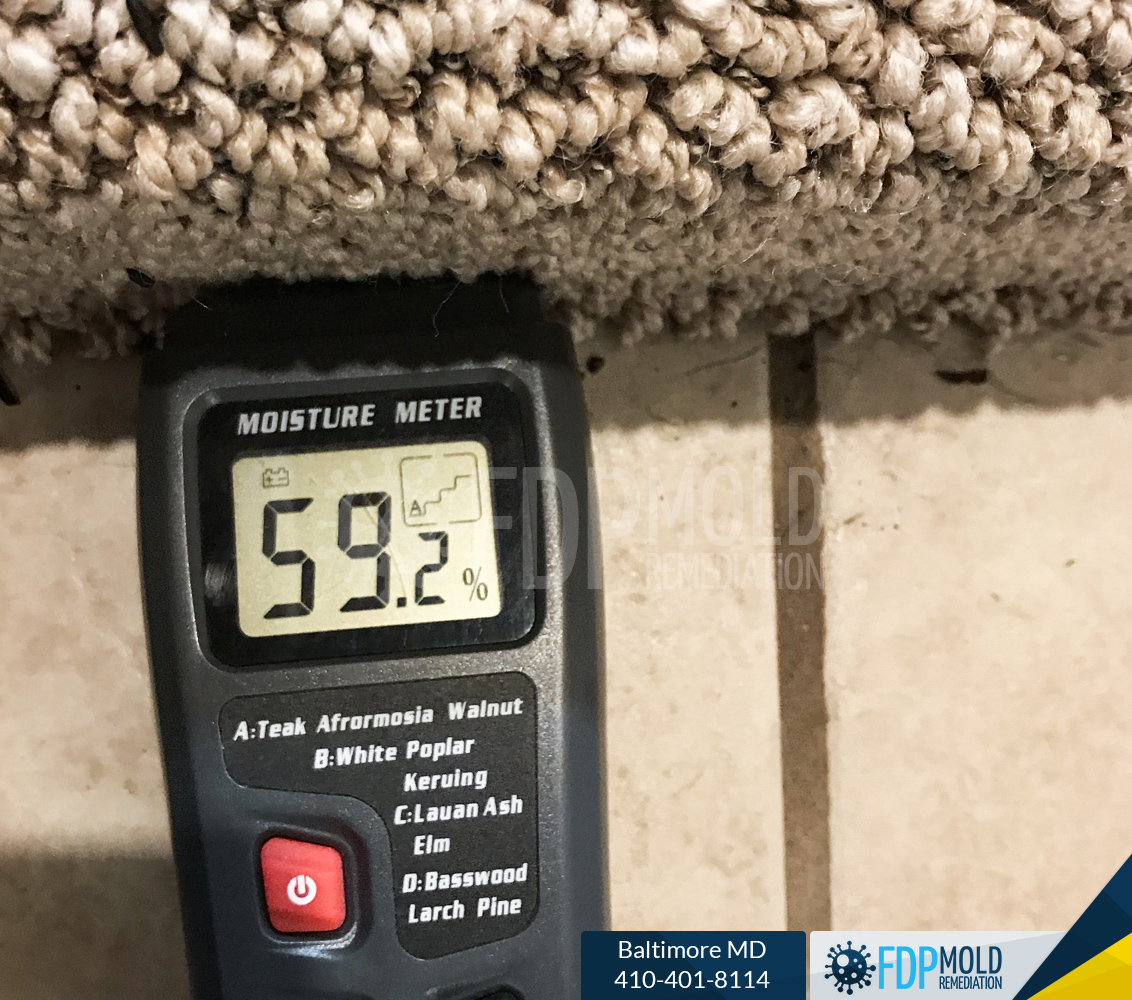 FDP Mold Remediation of Baltimore Image