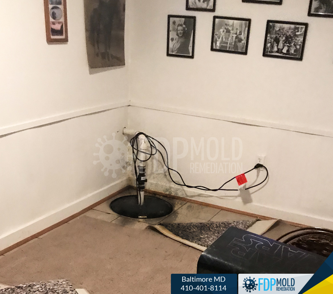 FDP Mold Remediation of Baltimore Image