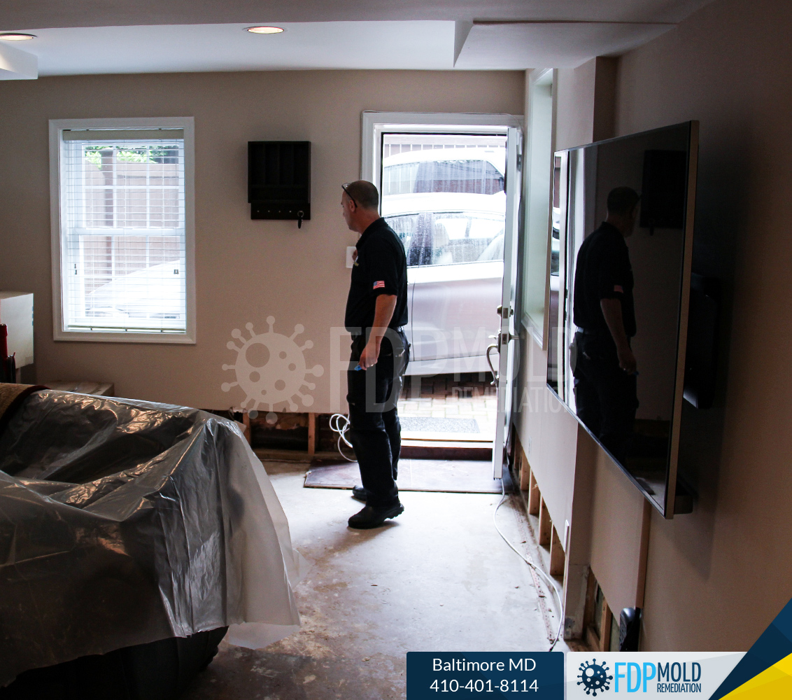FDP Mold Remediation of Baltimore Image