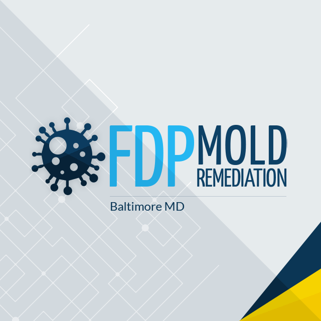 FDP Mold Remediation of Baltimore Logo