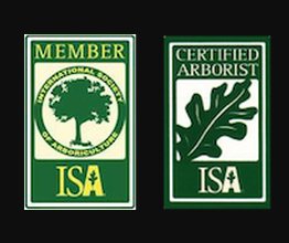 Trinity Tree Service Baton Rouge Image