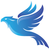 Denver SEO Service Logo