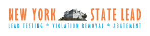 New York State Lead Logo