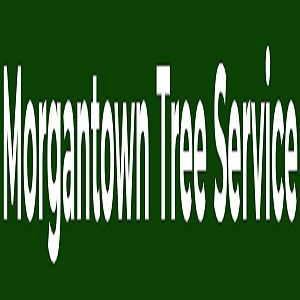 Morgantown Tree Service Logo