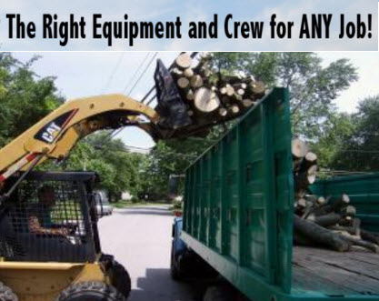 MRB Tree Service Image