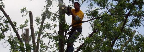 MRB Tree Service Image