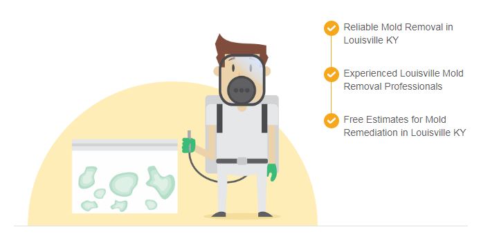 ALL US Mold Removal Louisville KY - Mold Remediation Services Image