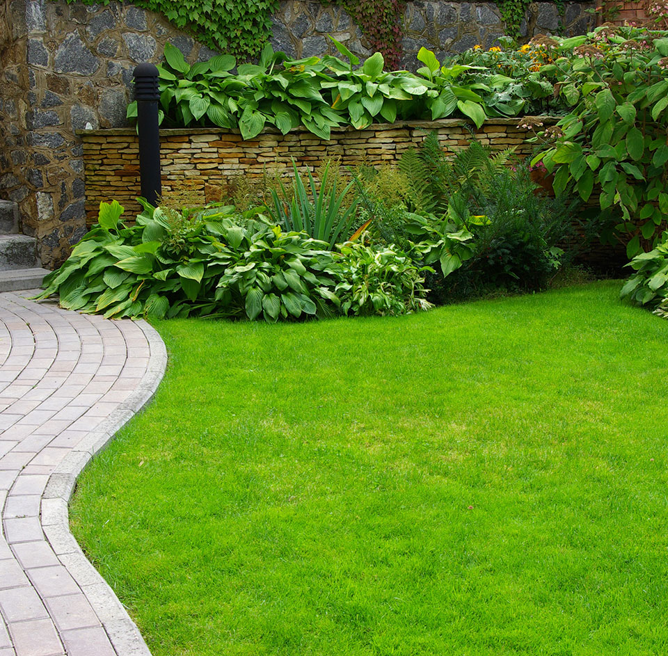 Dolphin Garden Landscape Image