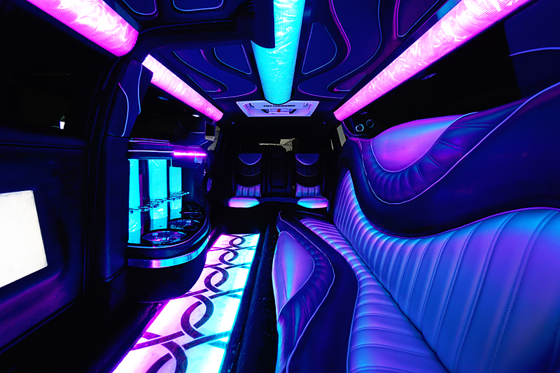 South Lyon Party Bus Image