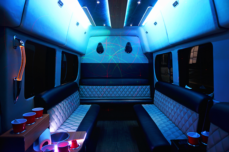 South Lyon Party Bus Image