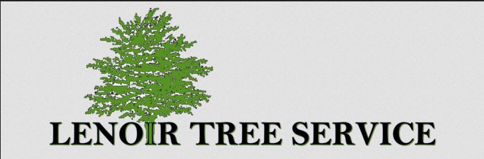 Lenoir Tree Service Logo