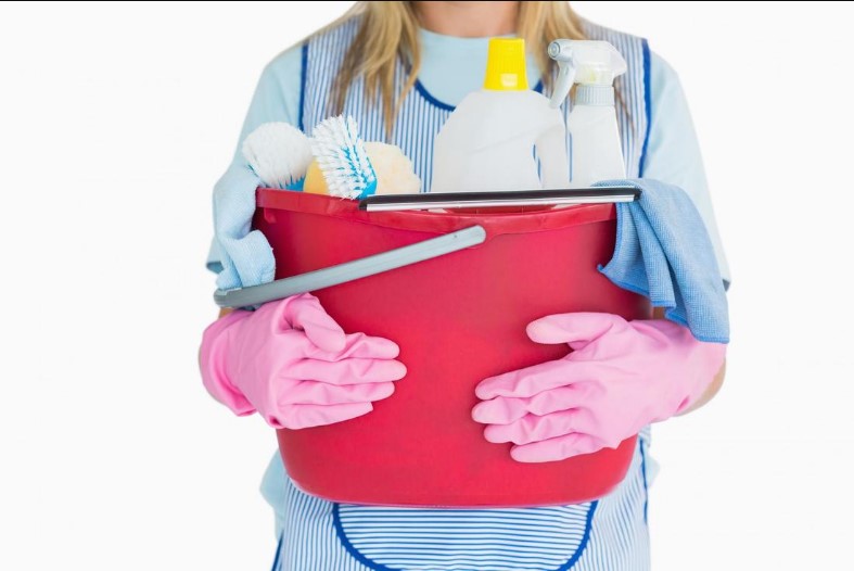 Maid Service of Lake Mary Image