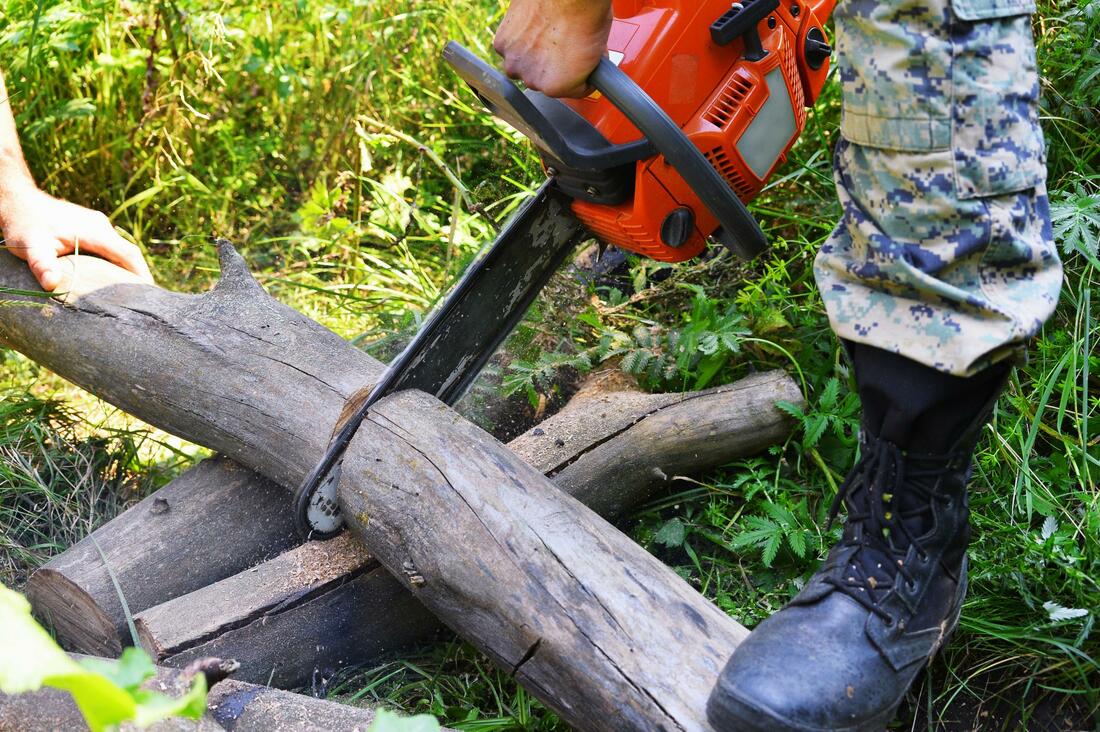 Jupiter Tree Removal Service Image