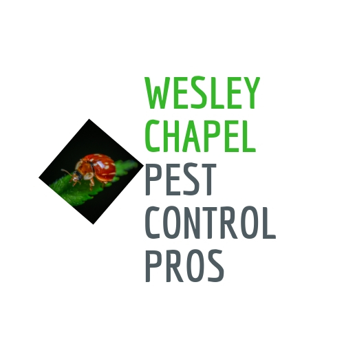 Wesley Chapel Pest Control Pros Logo