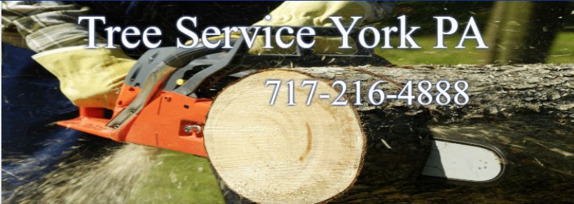 Tree Service York PA Logo
