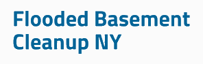 Basement Water Removal &amp; Clean UP Logo