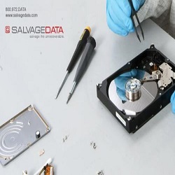 SALVAGEDATA Recovery Services Image