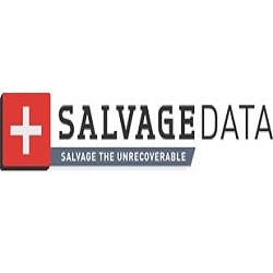 SALVAGEDATA Recovery Services Logo