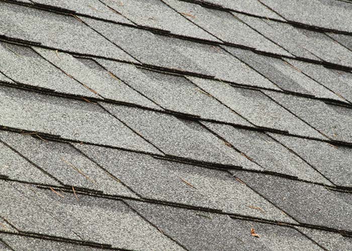 Fort Collins Roofing Company Image