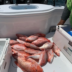 Side Bet Sport Fishing Image