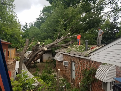 Tip Top Tree Service of Edmond Image