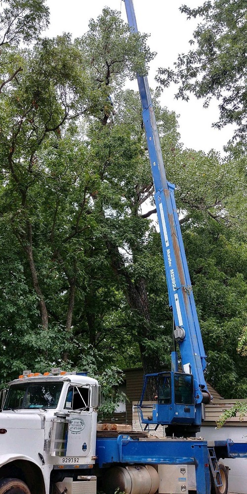 Tip Top Tree Service of Edmond Image