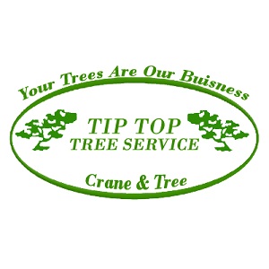 Tip Top Tree Service of Edmond Logo