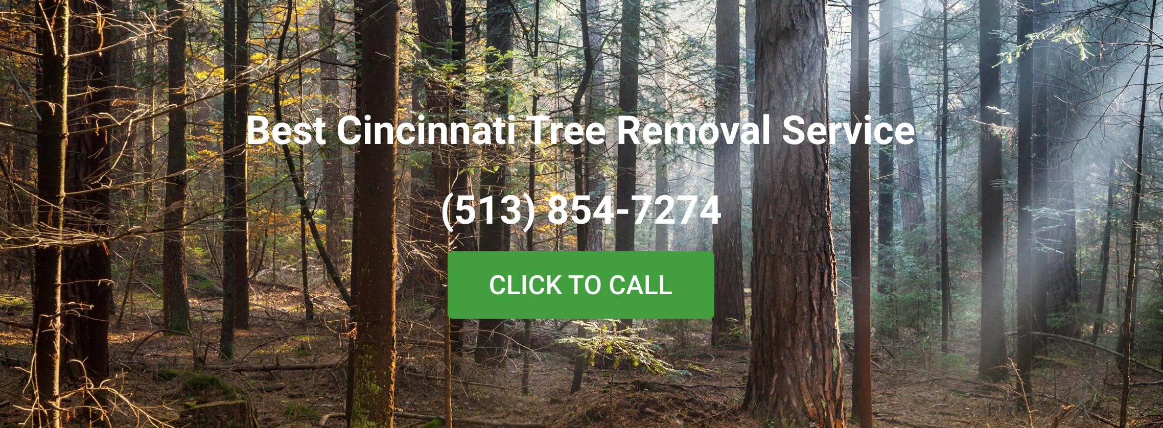 Best Cincinnati Tree Removal Logo