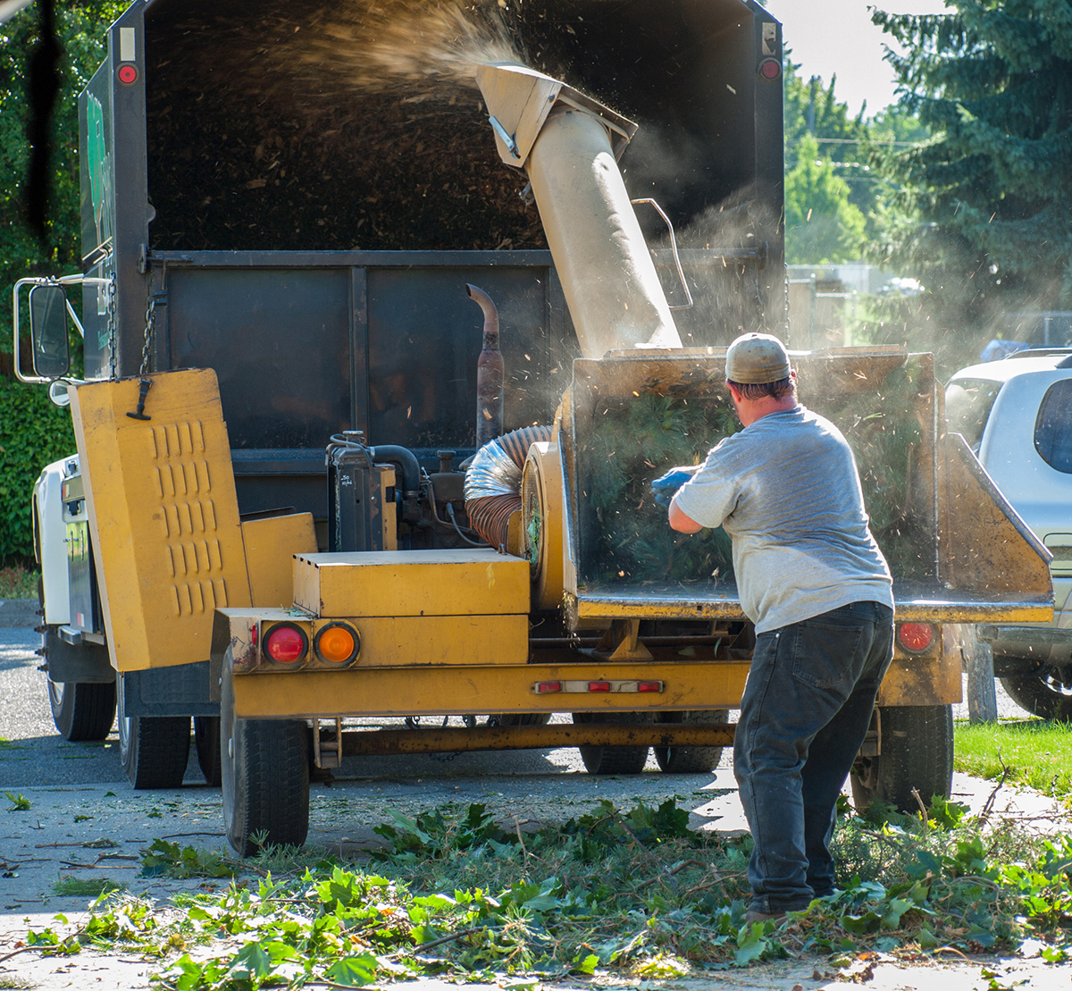 Prime Tree Service Columbus Image