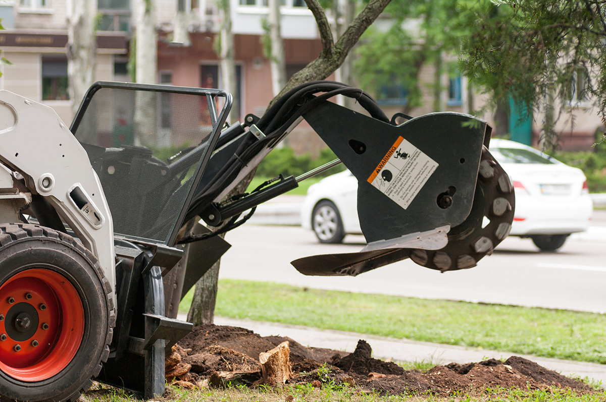 Prime Tree Service Columbus Image