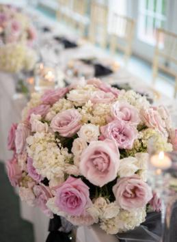 One Moment One Shot Photography Image