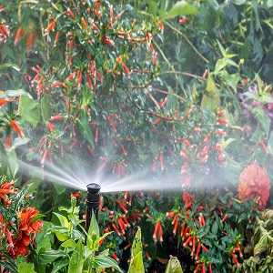 Porter Sprinklers Image