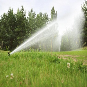 Porter Sprinklers Image