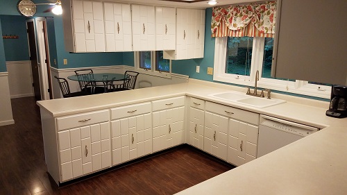 Wall Nuts Painting Image