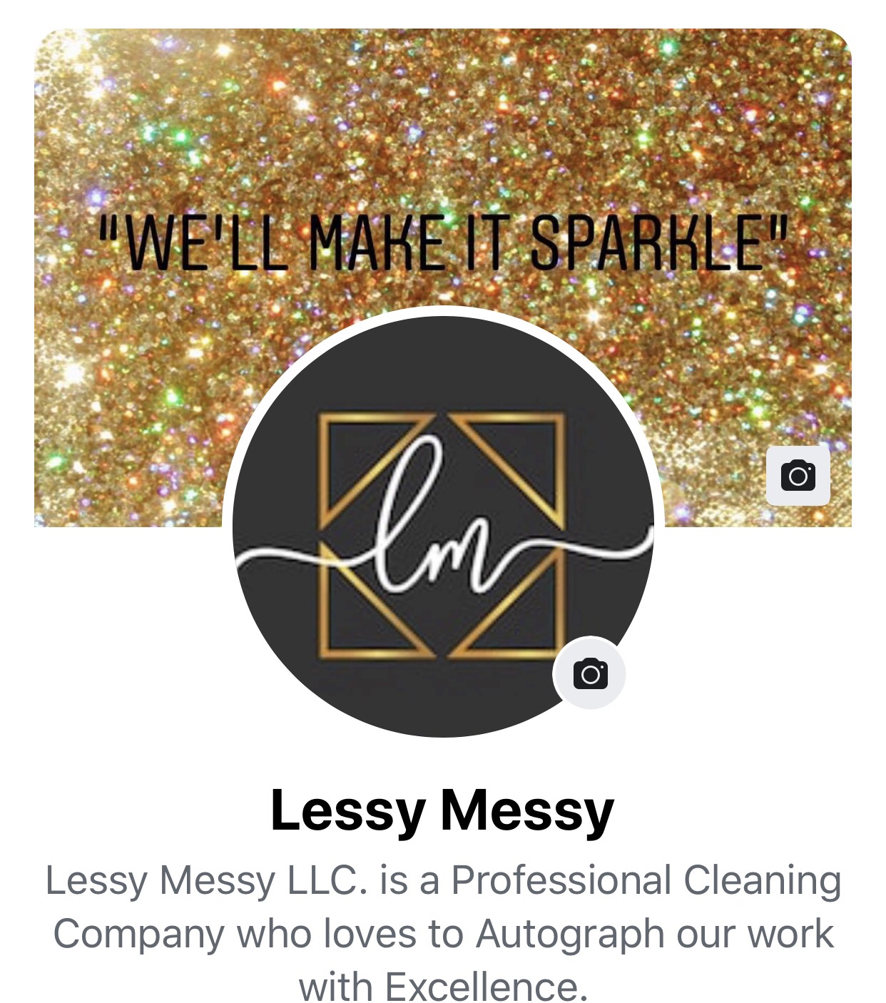 LESSY MESSY LLC Logo