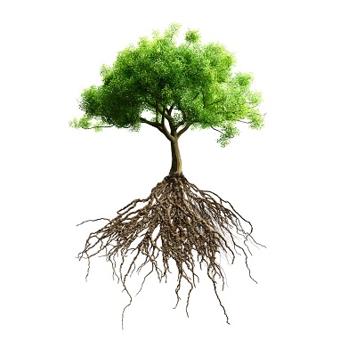 Columbus GA Tree Pros Logo