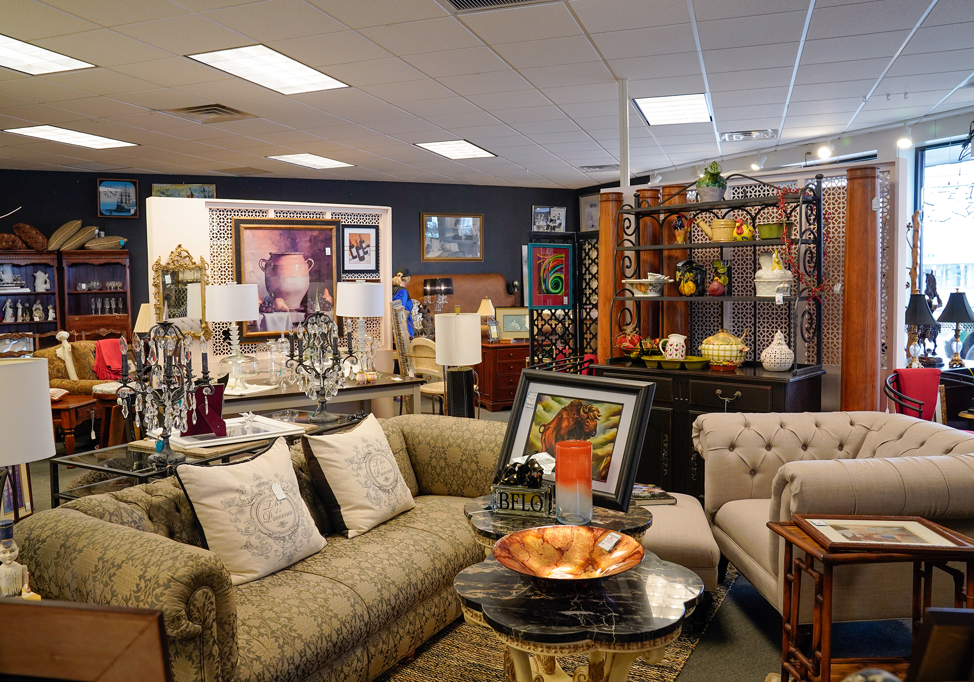 Blue Bird Consignment Image