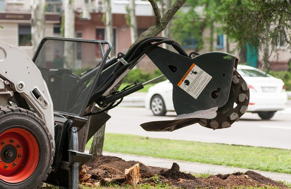 Pro Tree Removal Roswell Image