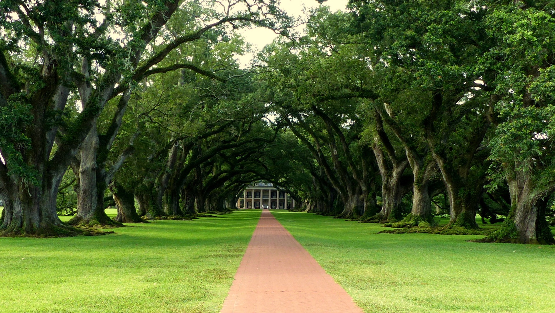 Tree Service of Lafayette Image