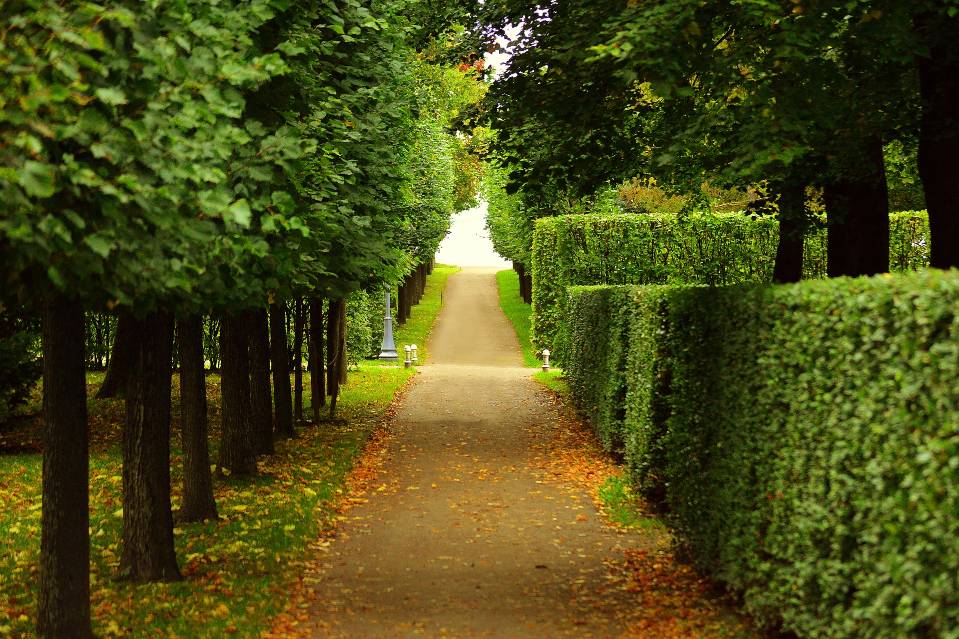 Tree Service of Lafayette Image