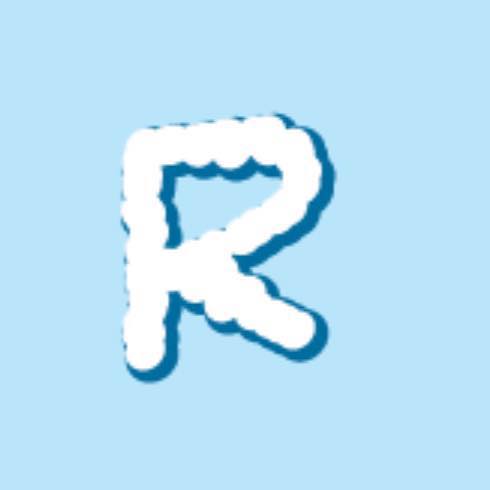 Raid Recovery NYC Logo