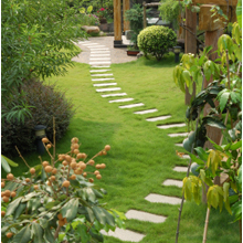 Garcia Patios & Landscaping Image