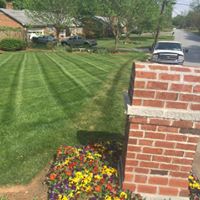 AlwaysGreen Turfcare Image