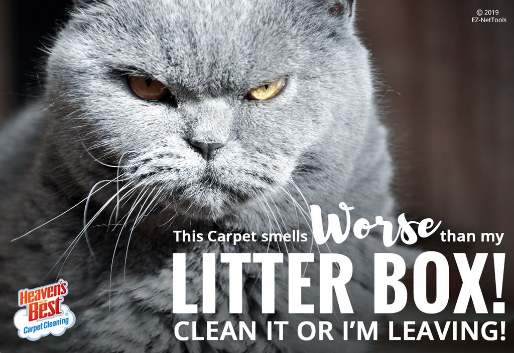 Heaven's Best Carpet Cleaning Salem OR Image