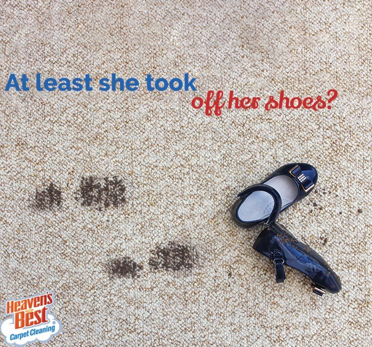 Heaven's Best Carpet Cleaning of Central PA Image